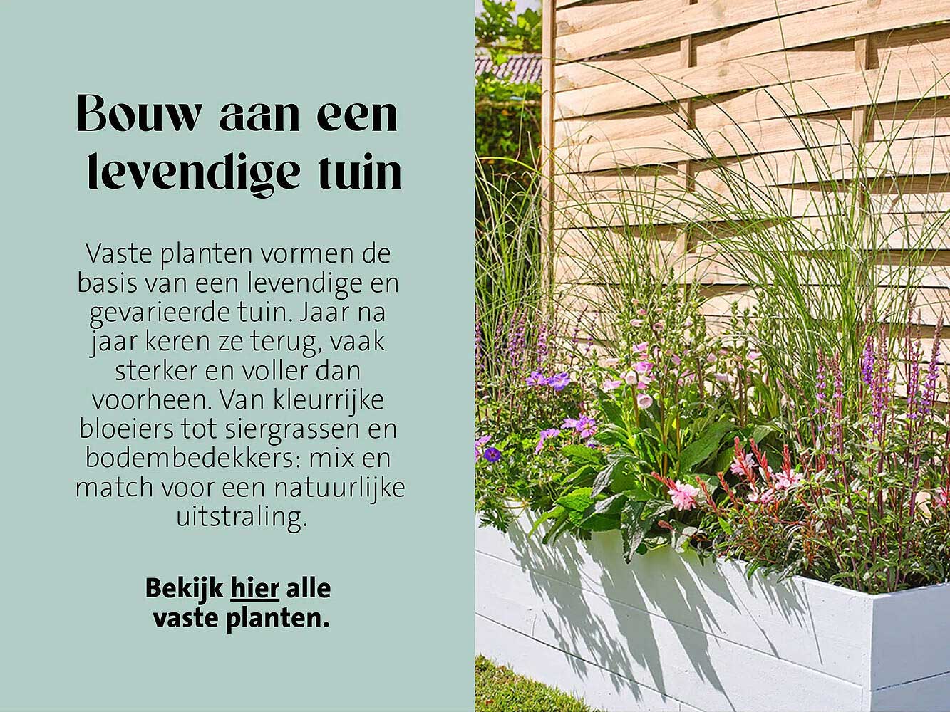 Bouw aan een levendige tuin