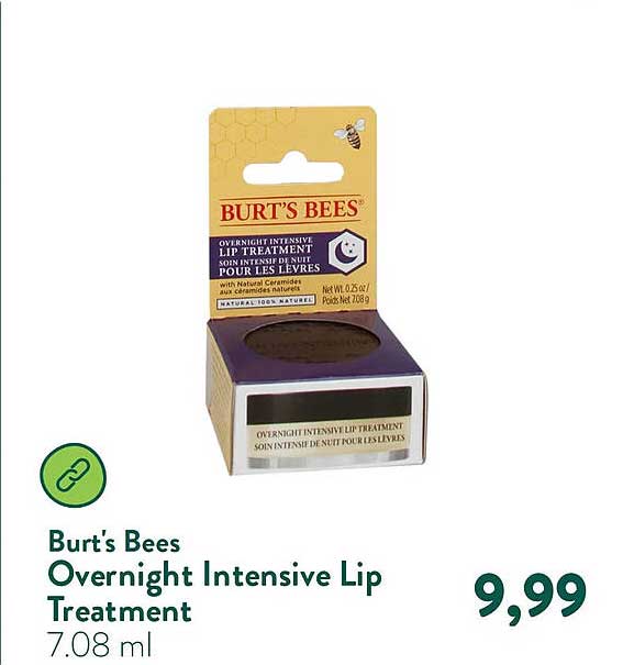 Burt's Bees Overnight Intensive Lip Treatment