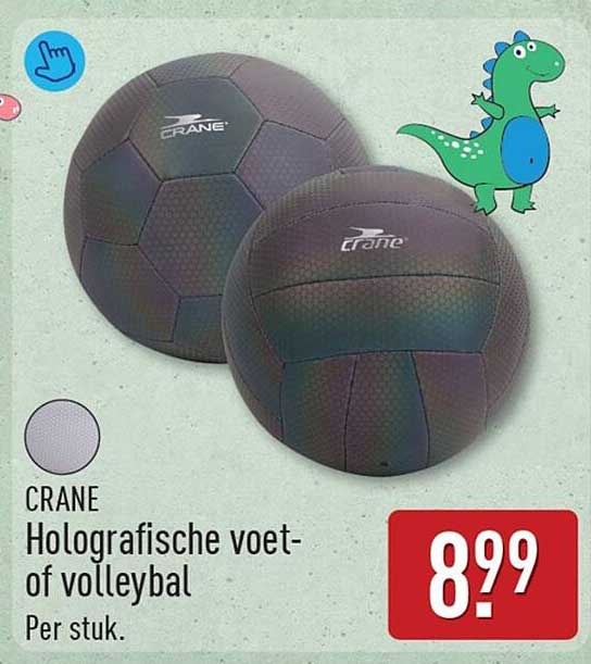 CRANE Holografische voet- of volleybal