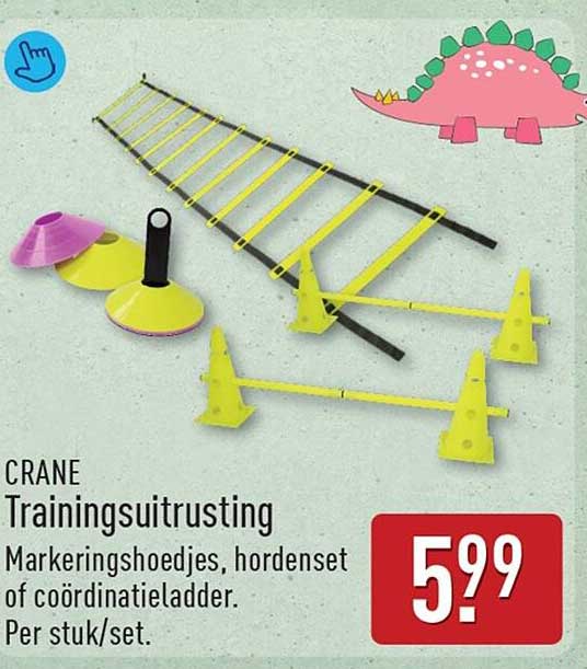 CRANE Trainingsuitrusting Markeringshoedjes, hordenset of coördinatieladder. Per stuk/set.