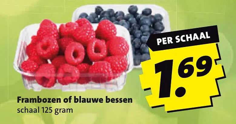 Frambozen of blauwe bessen schaal 125 gram
