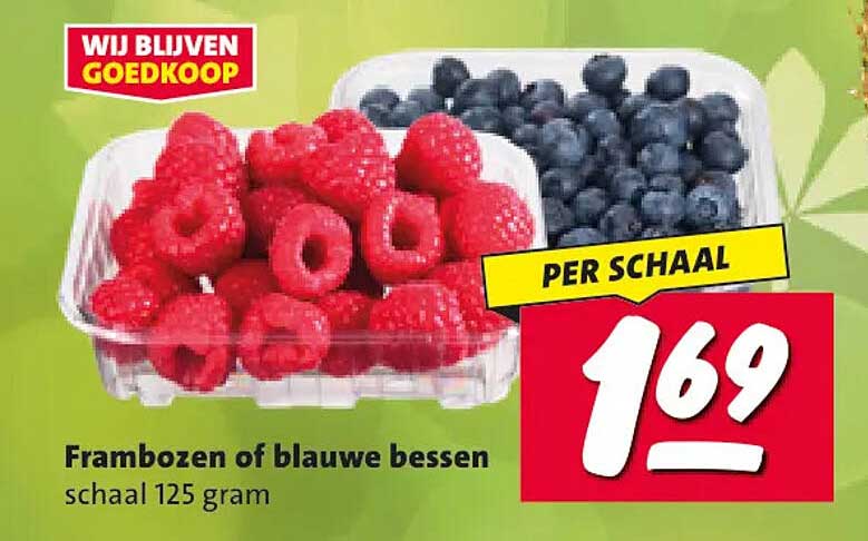 Frambozen of blauwe bessen schaal 125 gram PER SCHAAL
