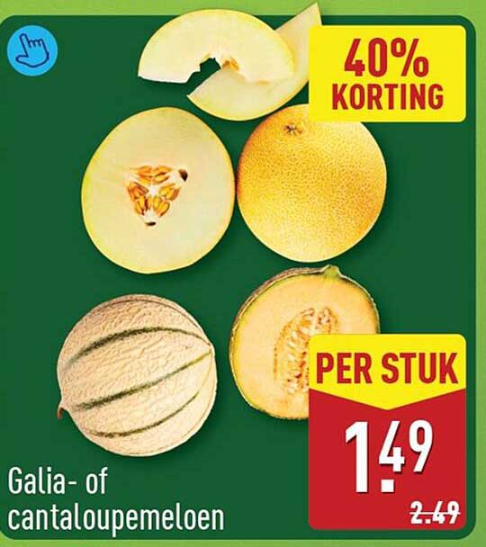 Galia- of cantaloupemeloen 40% korting