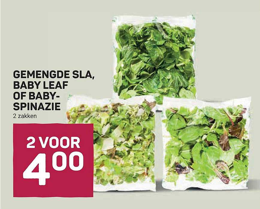 GEMENGDE SLA, BABY LEAF OF BABY-SPINAZIE 2 zakken 2 voor 4.00