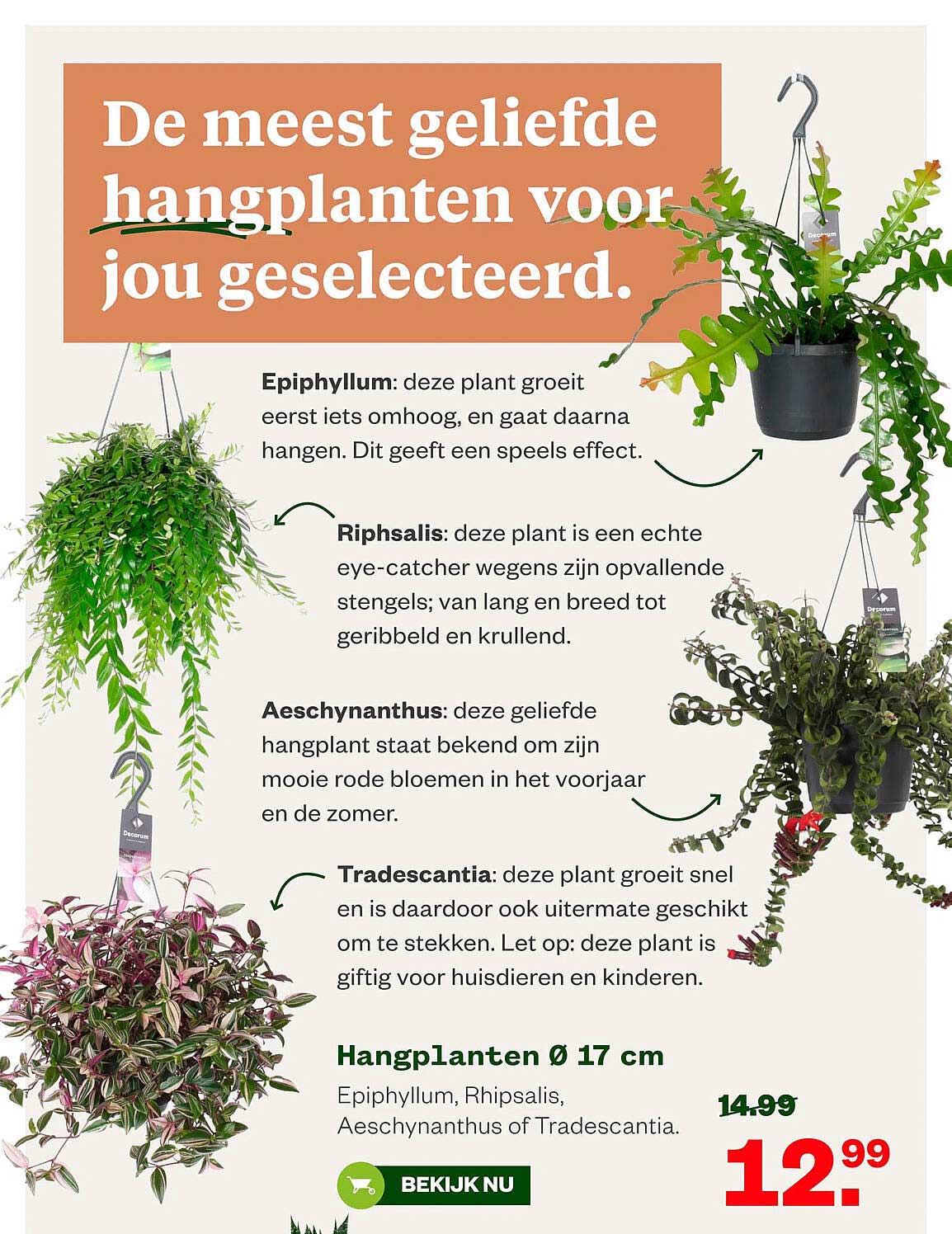 Hangplanten Ø 17 cm