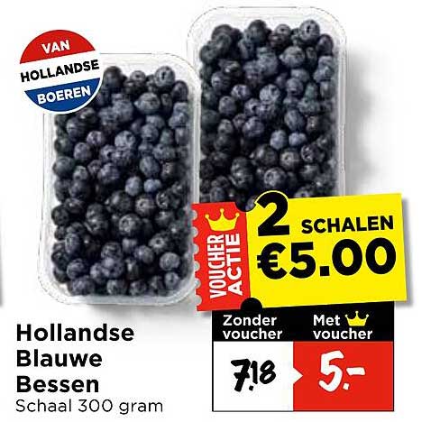 Hollandse Blauwe Bessen Schaalt 300 gram 2 schalen €5.00
