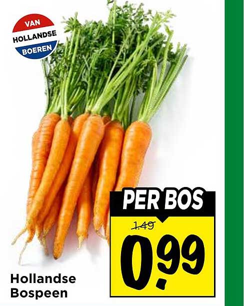 Hollandse Bospeen PER BOS