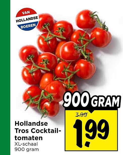 Hollandse Tros Cocktail-tomaten XL-schaal 900 gram