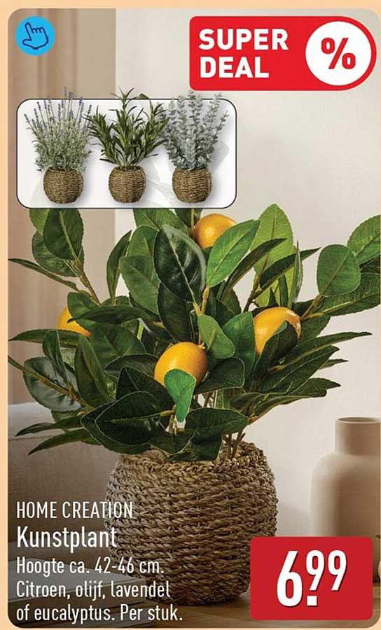 HOME CREATION Kunstplant Hoogte ca. 42-46 cm. Citroen, olijf, lavendel of eucalyptus. Per stuk.