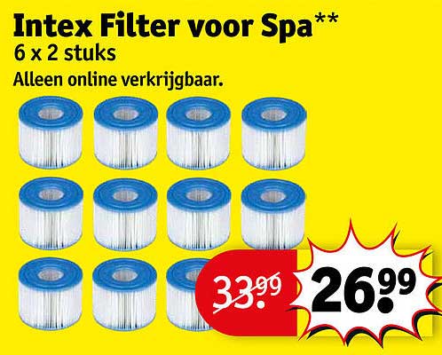 Intex Filter voor Spa** 6 x 2 stuks Alleen online verkrijgbaar.