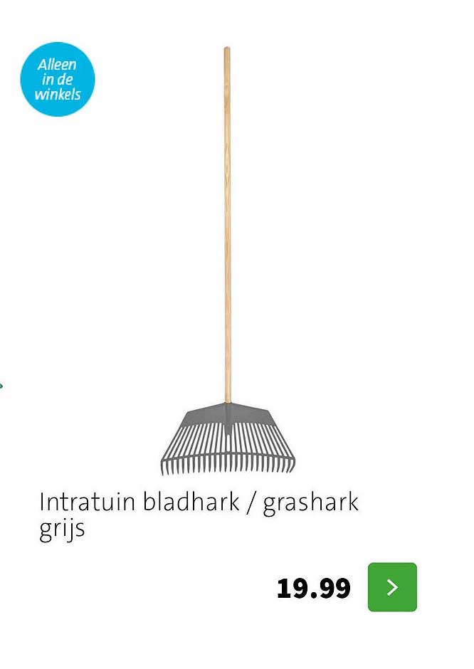 Intratuin bladhark / grashark grijs