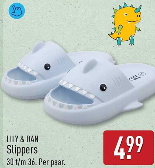 LILY & DAN Slippers