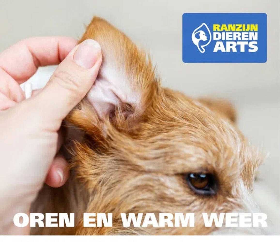 OREN EN WARM WEER