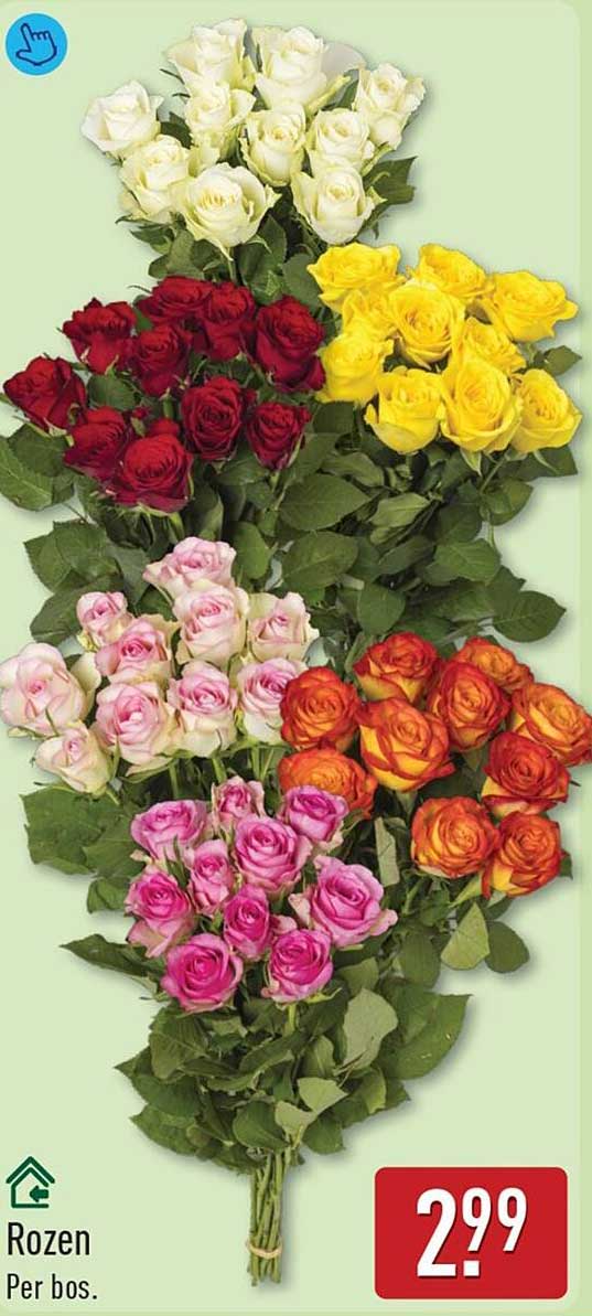 Rozen