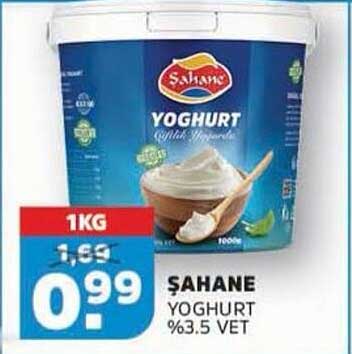 ŞAHANE YOGHURT %3.5 VET