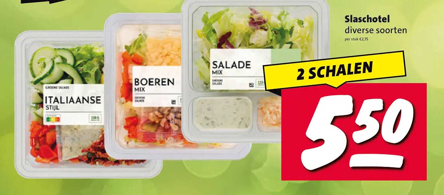 Slaschotel diverse soorten 2 SCHALEN