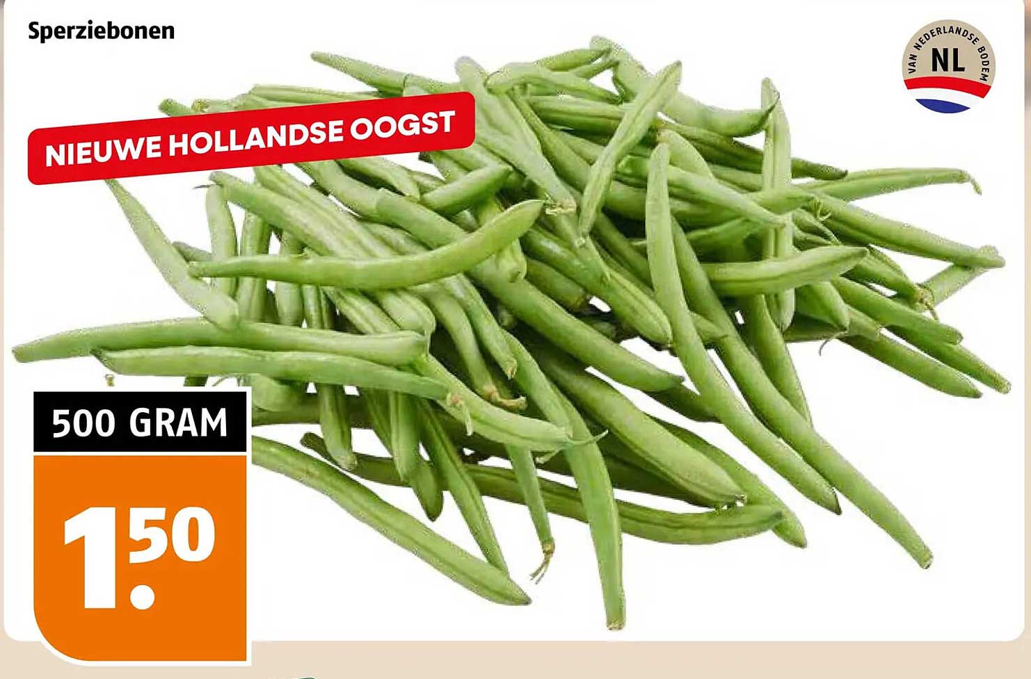 Sperziebonen NIEUWE HOLLANDSE OOGST