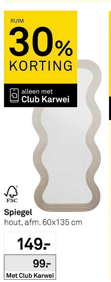 Spiegel hout, afm. 60x135 cm