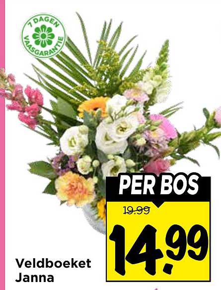 Veldboeket Janna