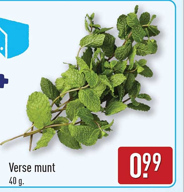 Verse munt