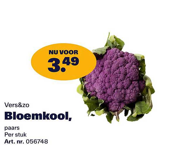 Vers&zo Bloemkool, paars