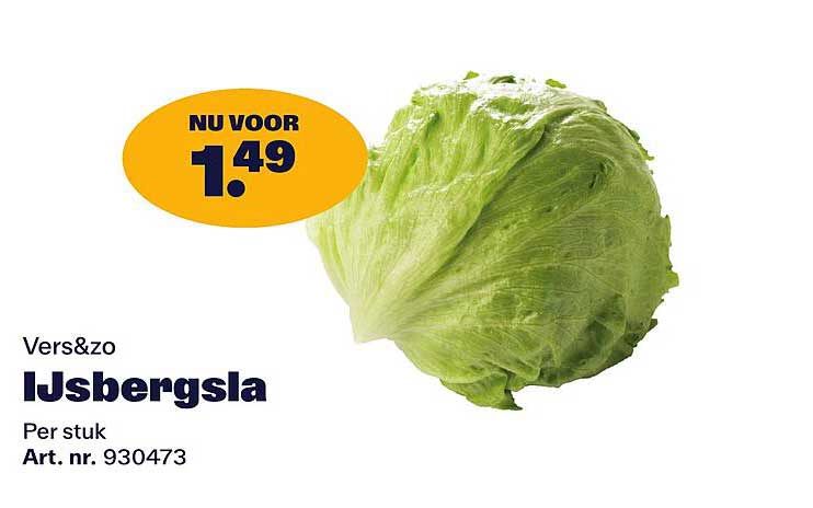 Vers&zo IJsbergsla