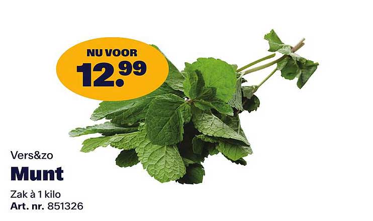 Vers&zo Munt