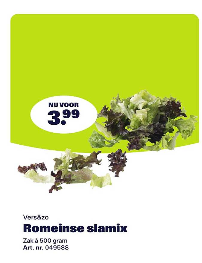 Vers&zo Romeinse slamix