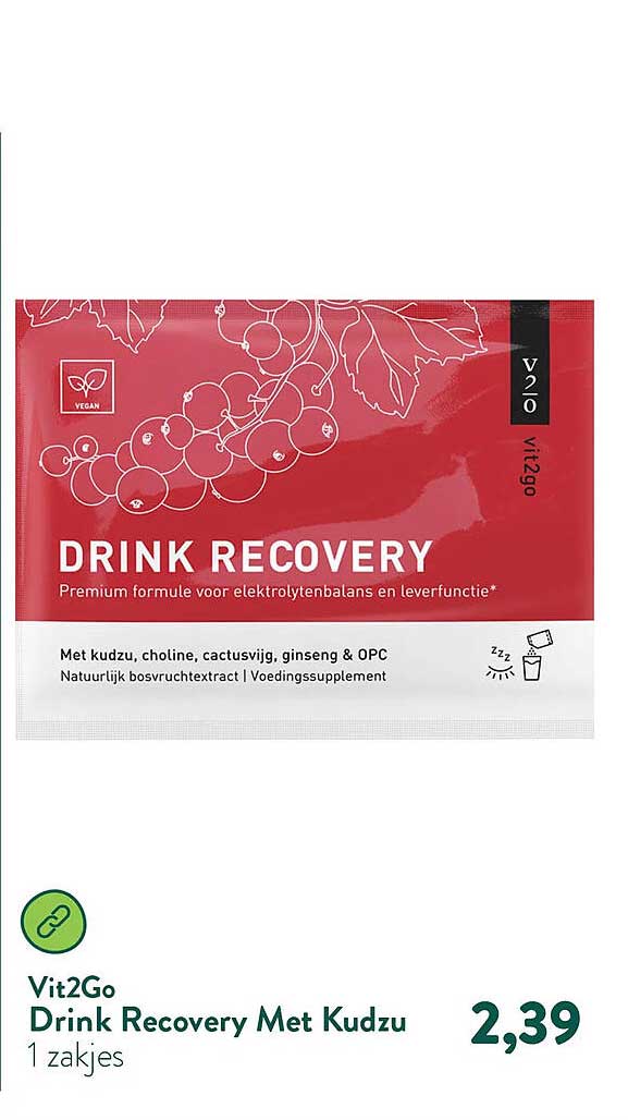 Vit2Go Drink Recovery Met Kudzu 1 zakjes