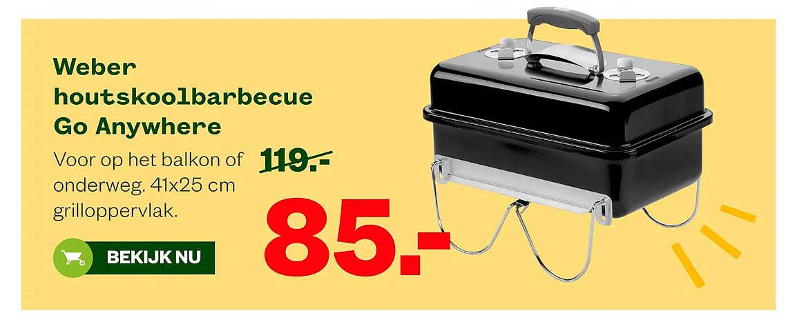 Weber houtskoolbarbecue Go Anywhere