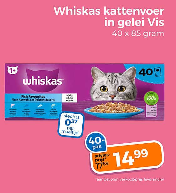 Whiskas kattenvoer in gelei Vis 40 x 85 gram