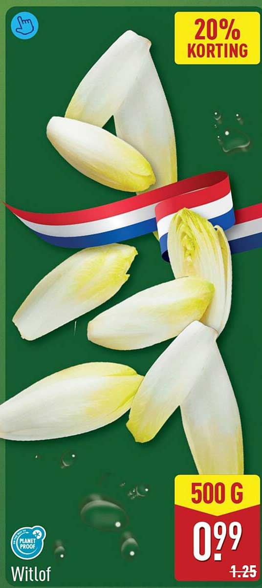 Witlof 500 G 20% korting
