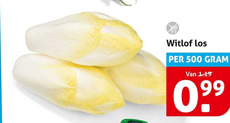 Witlof los PER 500 GRAM