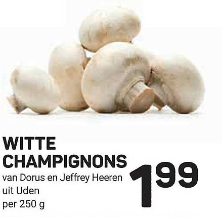 WITTE CHAMPIGNONS