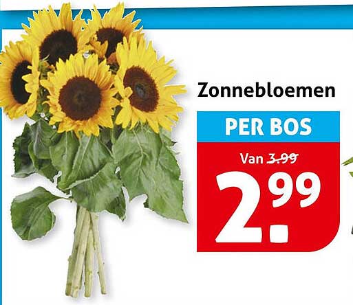 Zonnebloemen PER BOS
