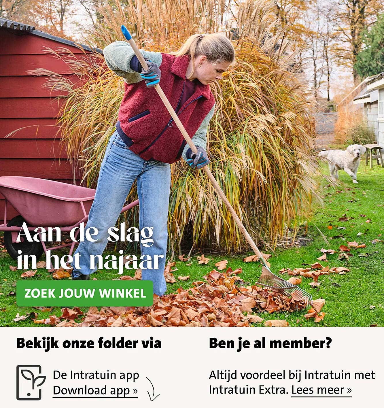 Aan de slag in het najaar