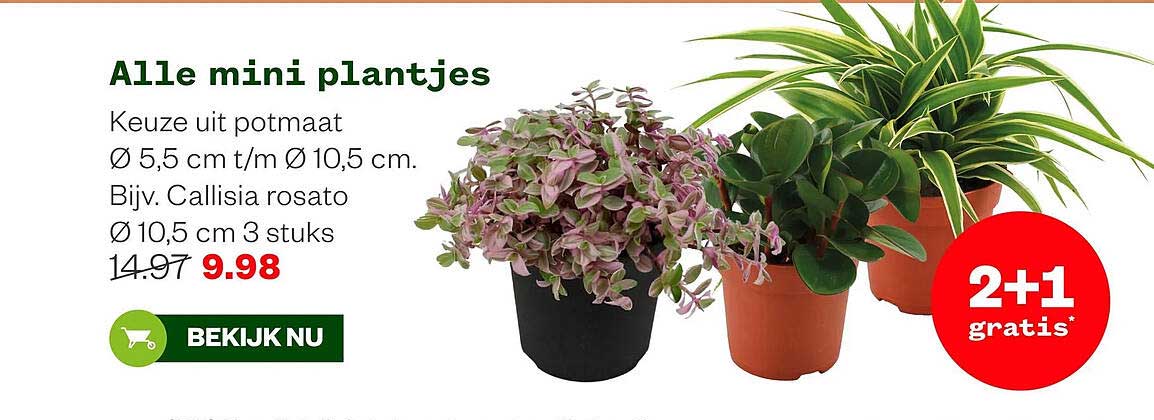 Alle mini plantjes 2+1 gratis
