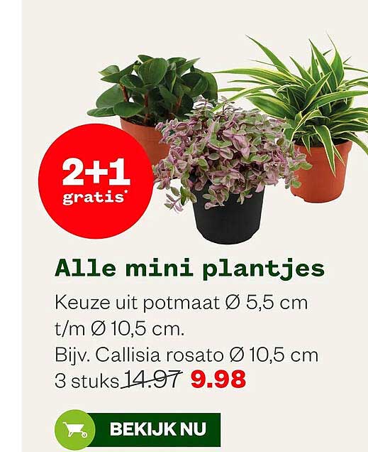 Alle mini plantjes 2+1 gratis