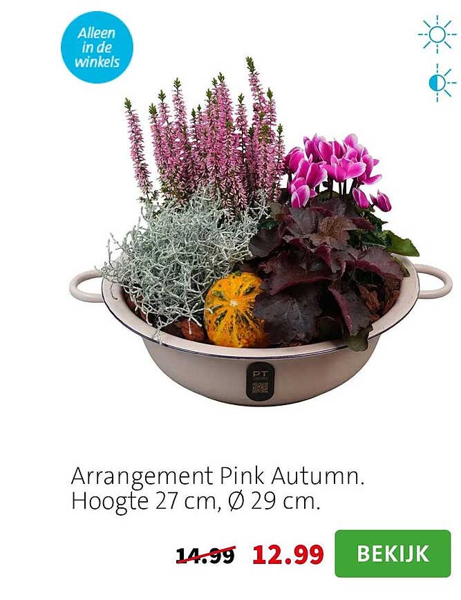 Arrangement Pink Autumn. Hoogte 27 cm, Ø 29 cm.