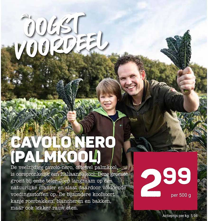 Cavolo nero (palmkool)