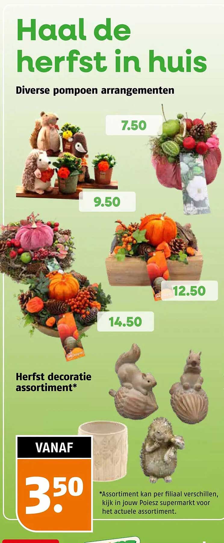 Diverse pompoen arrangementen