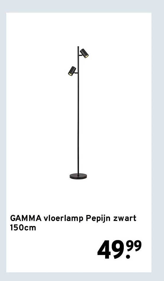 GAMMA vloerlamp Pepijn zwart 150cm
