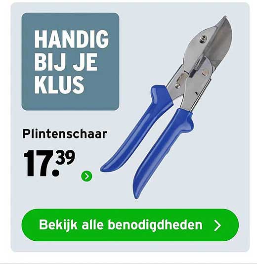 Plintenschaar