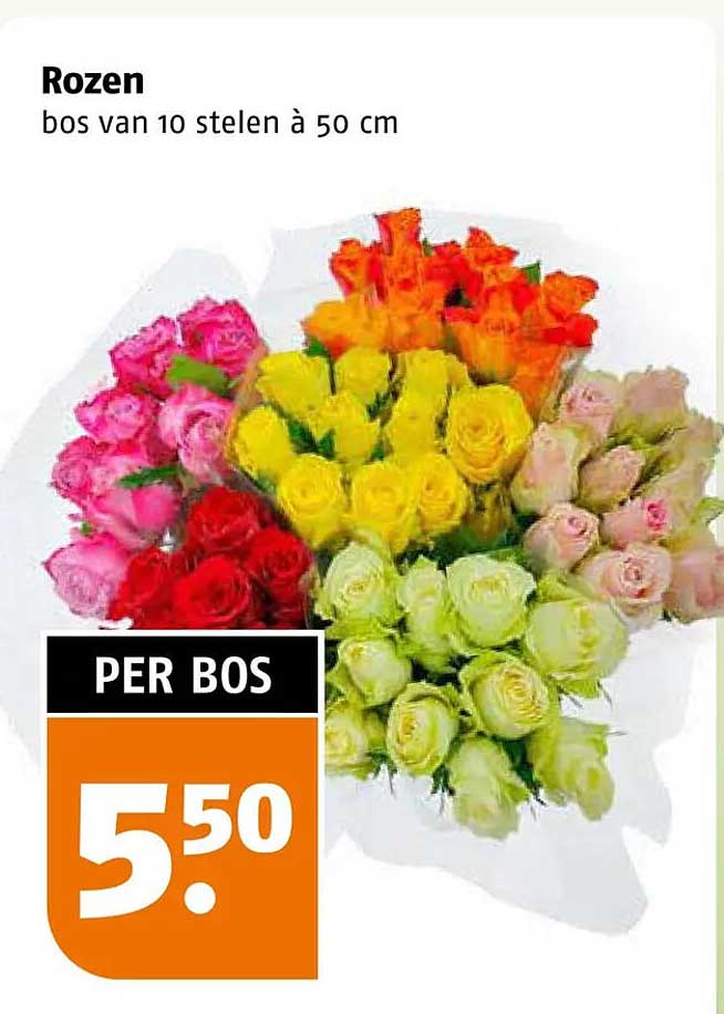 Rozen bos van 10 stelen à 50 cm