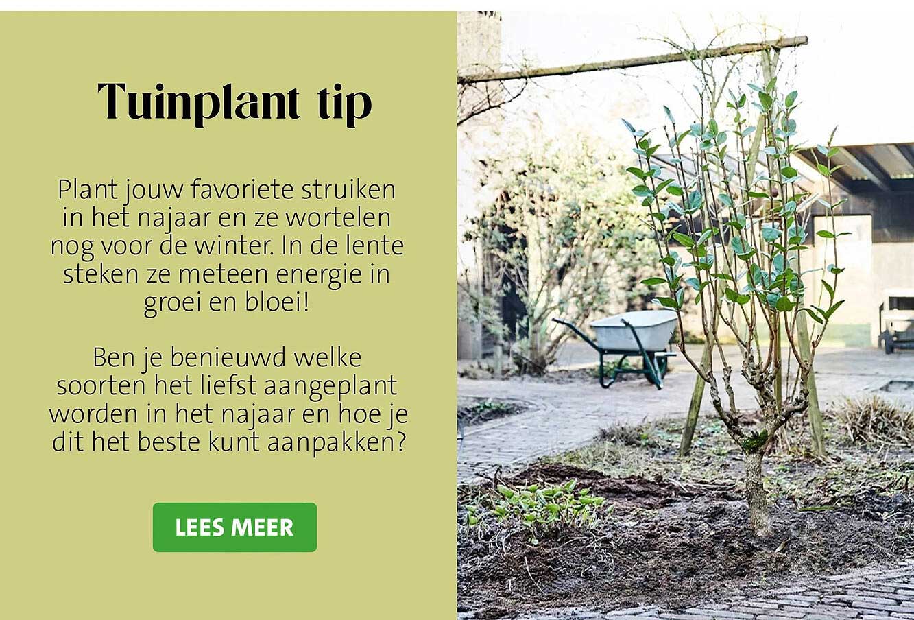 Tuinplant tip