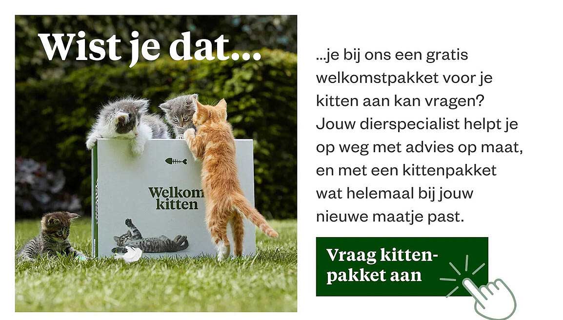 Vraag kitten-pakket aan
