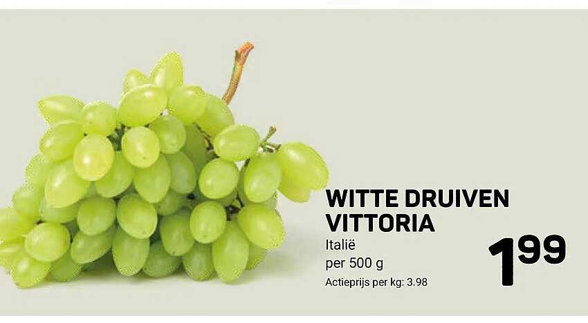 WITTE DRUIVEN VITTORIA