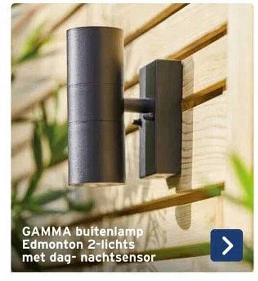 GAMMA buitenlamp Edmonton 2-lichts met dag- en nachtsensor