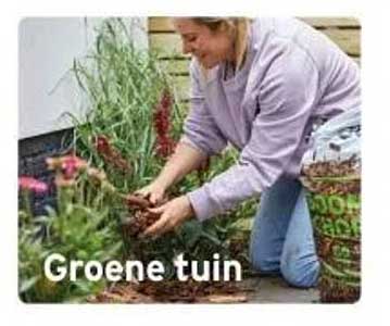 Groene tuin