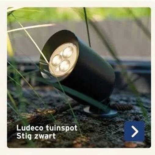 Ludeco tuinspot Stig zwart